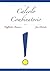 Calcolo Combinatorio: Teoria, Esercizi e Consigli (Italian Edition)