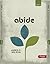 Abide: Practicing Kingdom Rhythms in a Consumer Culture - Leader Kit