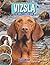 Vizsla: The Complete Owners Guide