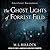 The Ghost Lights of Forrest Field (The Gulf Coast Paranormal Series)