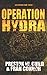Operation Hydra (Das Artemis Team) (German Edition)