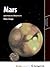 Mars and How to Observe It