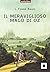Il meraviglioso mago di Oz. Con audiolibro. Con CD Audio