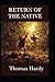 The Return of the Native(illustrated Edition)