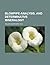 BLOWPIPE-ANALYSIS, AND DETERMINATIVE MINERALOGY