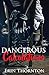 Dangerous Calculations (Dangerous Series)