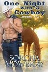 One Night With A Cowboy: (Books 1-5) One Night With A Cowboy: (Books 1-5)