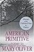 American Primitive