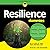 Resilience for Dummies