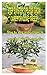 STEP BY STEP TIPS FOR GROW AND CARE FOR OLIVE TREES: Step by step instructions to grow and care for your olive trees