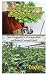 GUIDE ON HOW TO GROW HYDROPONIC MARIJUANA by Eric Keith