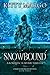 Snowbound: A Romantic Suspense Thriller (DARKNESS FROM WITHIN)