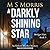 A Darkly Shining Star (Bridget Hart #5)