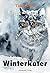 Winterkater