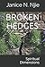 Broken Hedges: Spiritual Dimensions