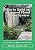 How to Build an Advanced Flood Control System: A Step by Step Guide for Building the Most Effective Flood Control System for Your Region (Flood Control and Hurricane Mitigation)