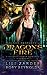 Dragon's Fire: A Reverse Harem Romance