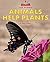 Animals Help Plants (Beginning-to-read, Read and Discover - Science)