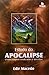 Estudo do Apocalipse: O Mais Completo Estudos Sobre o Apocalipse - Volume ònico