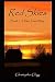 Red Skies: Book 1 - Down Texas Way