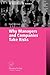 Why Managers and Companies Take Risks