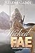 Wicked Fae: A Reverse Harem Paranormal Romance (Magic and Dreams)
