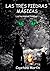 LAS TRES PIEDRAS MÁGICAS: Los hermanos Nimbus (Spanish Edition)