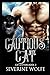 Cautious Cat (Cat Shifters)