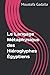 Le Langage Métaphysique des Hiéroglyphes Égyptiens (French Edition)