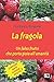 La fragola: Un falso frutto che porta gioia all'umanità (Italian Edition)