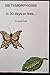METAMORPHOSIS in 30 days or less by James Pirotta METAMORPHOSIS in 30 days or less by James Pirotta