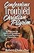Confessions of a Troubled Christian Pilgrim: Reflections on Difficult Questions for Contemporary Christians