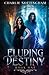 Eluding Destiny: Book I - A Mysterious Dark Paranormal Romance