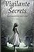 Vigilante Secrets