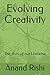Evolving Creativity: The story of our Universe