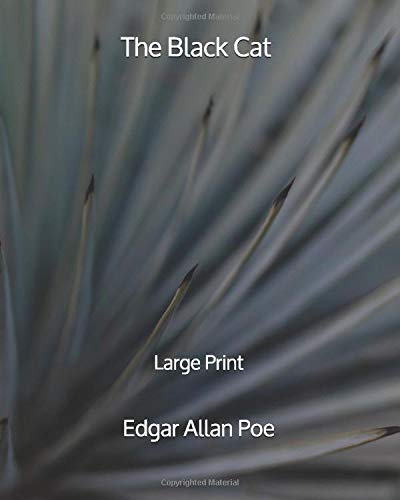 The Black Cat - Large Print
