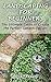 Landscaping For Beginners: The Ultimate Guide to Create the Perfect Garden Design By Roger