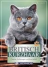 Britisch Kurzhaar...