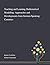 Teaching and Learning Mathematical Modelling: Approaches and Developments From German Speaking Countries