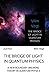 The Bridge of Light in Quantum Physics: A New Boundary Braking Theory in Quantum Physics (The Power of Light)
