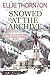 Snowed In at the Archive: Snowed In for Christmas Clean Romance Series (Snowed in for Christmas at Granite Springs)