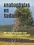 Anabaptistas en Sudamérica:...