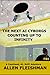 The Next AI Cyborgs: ComHead 2: Counting up to Infinity