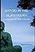Satori in the Slipstream: a collection of short stories