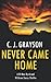 Never Came Home: DI Max Byrd & DI Orion Tanzy