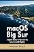 macOS Big Sur: A Quick Guid...