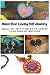 Make Your Lovely Felt Jewel...