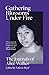 Gathering Blossoms Under Fire: The Journals of Alice Walker