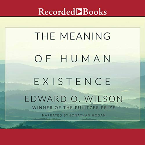The Meaning of Human Existence