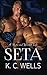 Seta (A Material World) (Italian Edition)